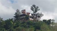 Tranquility Estate Bed And Breakfast Kingston Extérieur photo