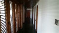 Tranquility Estate Bed And Breakfast Kingston Extérieur photo